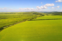 ������԰��� 