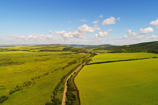 ���ױ�����԰��� 