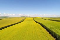 ��ɫ�Ͳ˻����� 