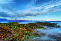 �ֺ���ɫ����