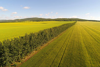 ũ�������