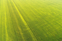 ũ��ũ���ﾰ�ۣ����ģ�