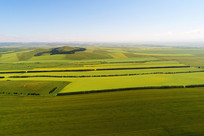 ��Ұ�Ͳ˻������ģ�