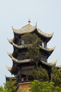 �ɶ�����Ȫ����������ľ��