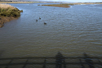 ī��������԰����