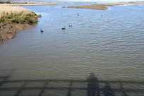 ī����Ұ������԰����