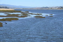 ī����Ұ������԰��ʯ̲