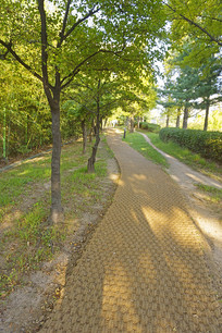 ���н����� 