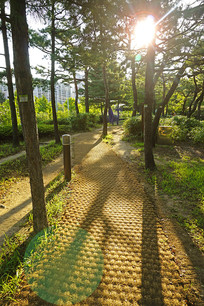 ����ˮԭТ԰��԰�Ĳ��е�