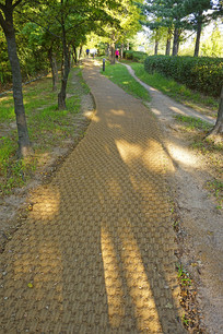 ����ˮԭТ԰��԰�Ĳ��н�����