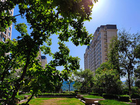 �����к��к���ۡסլ����