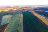 �����������ﾰ 