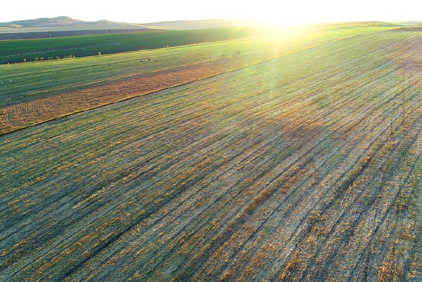 �����ﾰĺɫ 