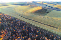 ����ũ�������ĺɫ 