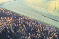 �����＾��԰��� 