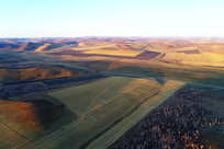 �����Ķ�����ɫ��Ұ