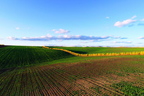 ũ��������ﾰ