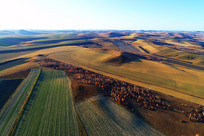 �＾�̽����Ұ�����ģ� 