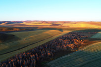 �＾��ɫ��ũ�� 