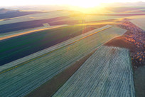 �＾ĺɫũ����� 