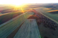 �＾��԰��� 