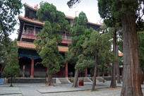 ɽ��ʡ�����������ĸ���