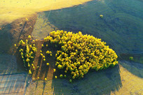 ɽ��ɭ�ֺ������ﾰ 