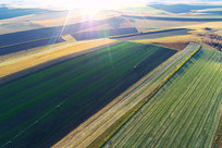 ��Ұ��ɫ�����ģ� 