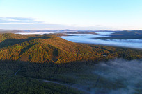 ���˰����＾ԭʼɭ���ƺ�