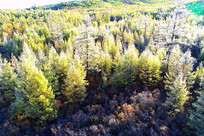 ���˰���˪����Ľ�ɫ���� 