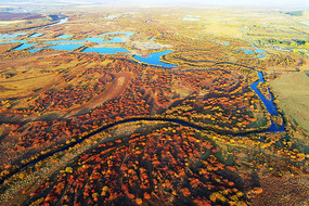 ���Ľ�����ֺ���