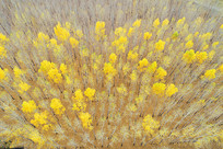 �������ս�ɫ������