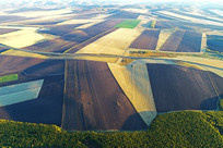 �������ﾰ 