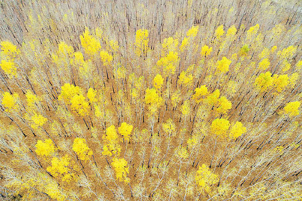 ���ױ����̽����������