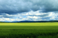 ���ױ�����԰���