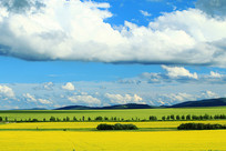 ���ױ�����԰�羰