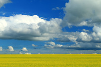 ���ױ����Ͳ˻����ķ羰