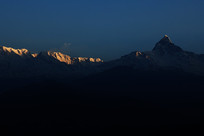 ��ɫ��β��