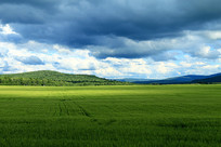 ��ɫ������