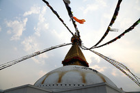 �Ჴ����������