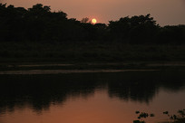 �Ჴ������