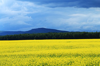 ũ���Ͳ˻���