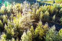 �ﾰ������ڡ 