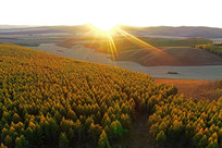 �＾ɽ����ҰϦ��