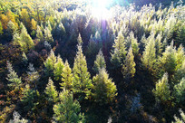 ˪�����������װ�ع�