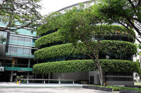 �¼�����ɫ�Ƶ�