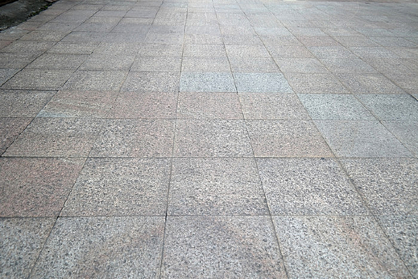 �����ҵ���