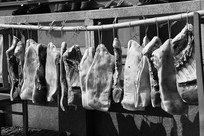 ��ɹ����ڰ�ͼ