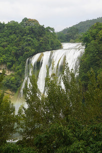 ��˳�лƹ����ٲ�Զ�� 