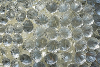 ����ǭ����������ñ��������д